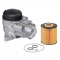 Módulo Filtro de Óleo Hengst H806H BMW 118i - Cód.13382