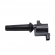 Bobina de Ignição Delphi GN10229 Ecosport, Focus - Cód.10822