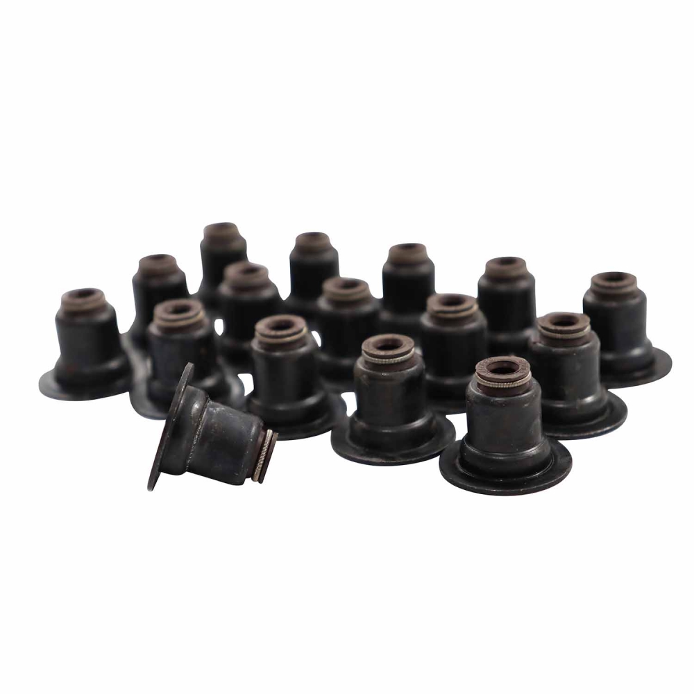 Retentor de Válvulas 747.210 BMW 118i, 120i, 320i - Cód.8709