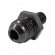 Niple Adaptador M12 x 8AN - Cód.7353