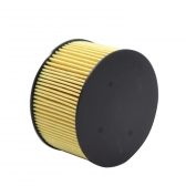 Filtro de Óleo Hengst E823H D263 A200, Duster 1.3 -Cód.11116