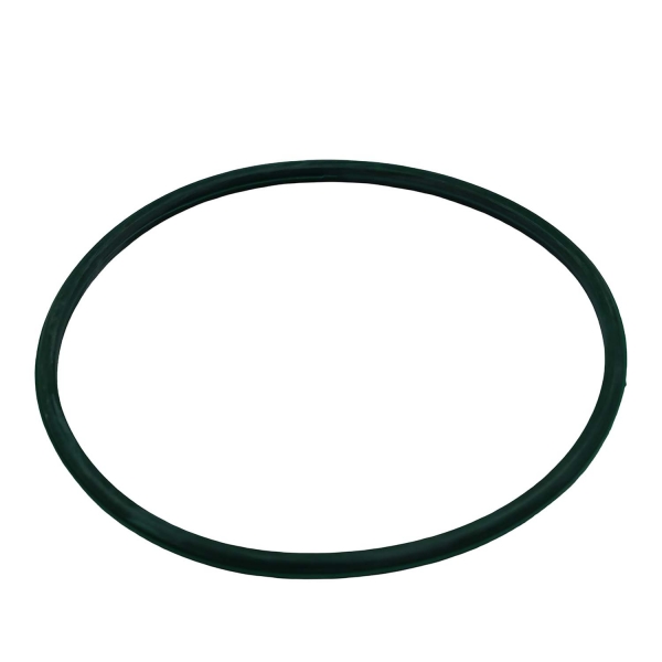 Guarnição Flange Bomba TSA T040024 Renault Logan - Cód.13980