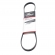 Correia Micro-V Gates 4PK0825 Nissan Frontier - Cód.10781