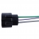 Chicote Sensor TPS ETE7887 Ford Zetec - Cód.5826