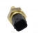 Sensor Temp. de Água MTE 4097 Honda Civic, Fit - Cód.10269