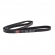 Correia Micro-V Gates 6PK2330 Audi A7, S4 3.0 - Cód.11032