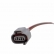 Chicote Bobina de Ignição ETE5469 Daihatsu - Cód.9118