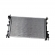 Radiador de Agua Delphi RA20235 Ford Focus - Cód.9919