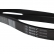 Correia Gates Micro-V 6PK2500 Range Rover 3.0 - Cód.12906