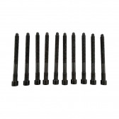 Parafuso Cabeçote Elring 215.000 VW Touareg 4.2 - Cód.3975
