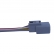Chicote ETE9134 Limpador de Para-Brisa Honda - Cód.6018