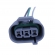 Chicote ETE5986 Sensor Velocidade e TPS Toyota - Cód.5992