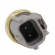 Sensor Temp. de Água NTK CTN2-A001 Ford Zetec - Cód.11290
