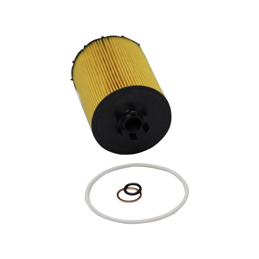 Filtro de Óleo Hengst E203H04 D67 BMW 550i, X5 - Cód.9854