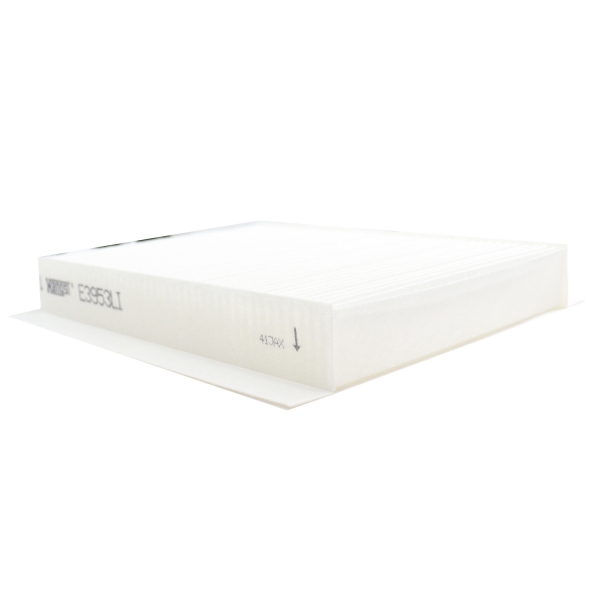 Filtro Cabine Hengst E3953LI Toro, Renegade 2.0 - Cód.10754