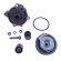 Kit Correia e Bomba Gates WP0031/KS1162 Jetta - Cód.5675