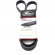 Correia Micro-V Gates 5PK1165 Fiat Punto 1.4 - Cód.10702