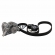 Kit Correia e Bomba Gates WP0080/KS503 Xsara - Cód.8591