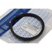 Guarnição Flange Bomba TSA T040062 Fiat Ducato - Cód.14005