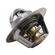 Válvula Termostática MTE VT207.75 GM Opala 4.1 - Cód.10315