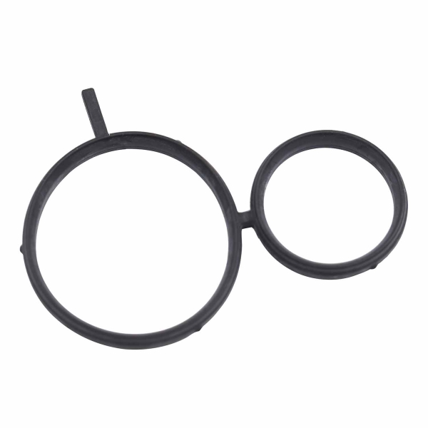 Junta Bomba d'agua Elring 457.470 BMW 116i, 118i - Cód.10121