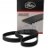 Correia Dentada Gates 41129x7/8 Ford F100 - Cód.4598