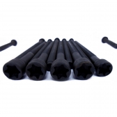 Parafuso de Cabeçote Elring 426.890 BMW  X1, X3 - Cód.5615