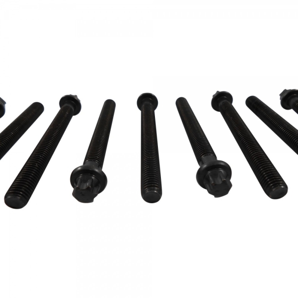 Parafuso de Cabeçote Elring 802.740 BMW 323i, 328i - Cód.135