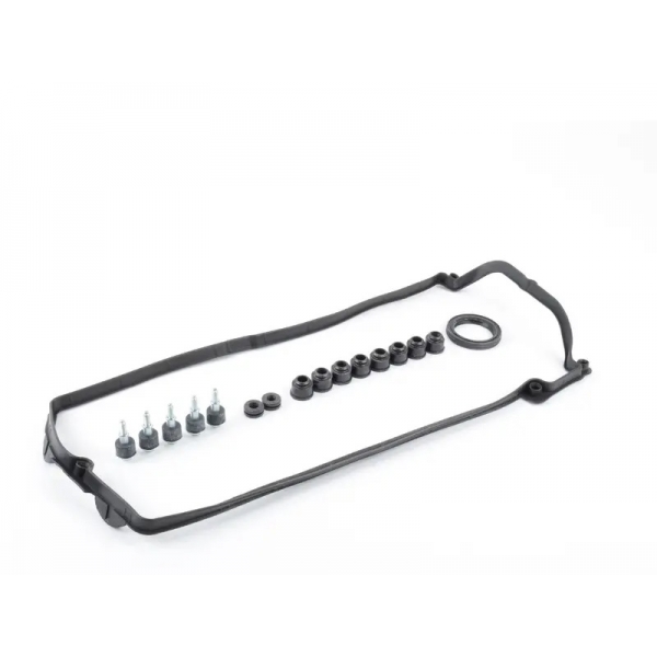 Junta da Tampa de Válvulas 725.330 BMW 540i, X5 - Cód.7300