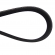 Correia Gates Micro-V 5PK0870SF Focus, Agile - Cód.5640