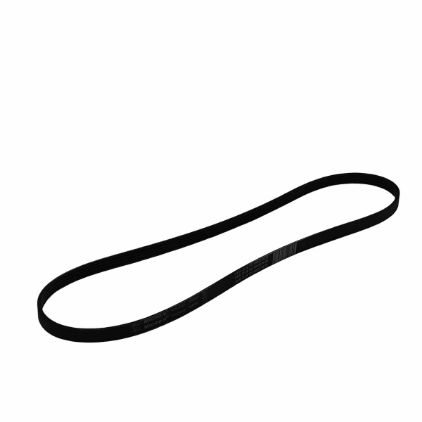 Correia Micro-V Gates 4PK1015 Daily 2.8 - Cód.12755