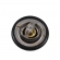 Válvula Termostática MTE VT239.88 Ford Zetec - Cód.13004