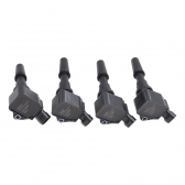 Kit Bobina Ignição Delphi GN10969 Argo, Mobi - Cód.11308