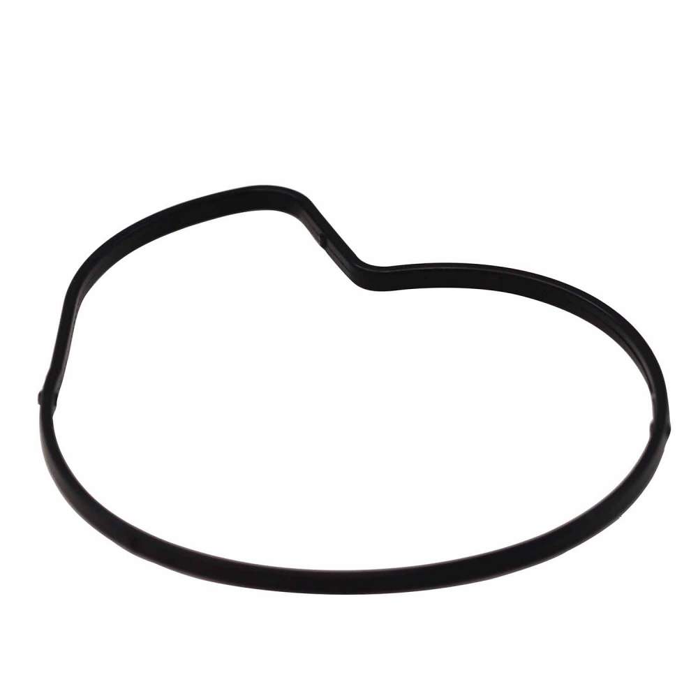 Junta da Bomba d'agua Elring 335.580 BMW 118i - Cód.12253