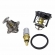 Kit Válvula Termostática MTE  20049 Ford Ka 1.0 - Cód.9386