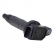 Bobina de Ignição Delphi GN10313 Toyota RAV4 2.0 - Cód.9889
