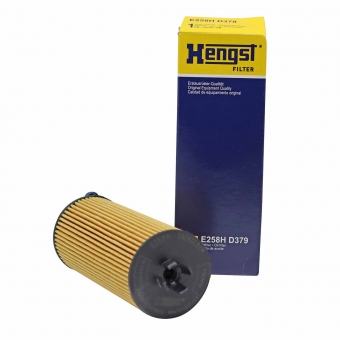 Filtro de Óleo Hengst E258H D379 BMW X3, X4 - Cód.11934