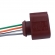 Chicote da Sonda Lambda 4 vias ETE5751 VW Up! - Cód.5776