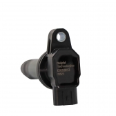 Bobina de Ignição Delphi GN10813 Toyota Etios 1.5 - Cód.8559