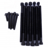 Parafuso de Cabeçote Elring 426.890 BMW  X1, X3 - Cód.5615