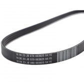 Correia Micro-V Gates 4PK0830 Honda Civic 1.6 16V- Cód.10502