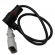 Sensor Rotação MTE 7049 VW Golf, Audi A3 1.8 20V - Cód.14235