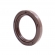Retentor Dianteiro Elring 583.050 Fiat E-Torq 1.8 -Cód.10968