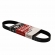 Correia Gates Micro-V 6PK0684SF Mini Cooper - Cód.9220