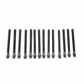 Parafuso Cabeçote Elring 802.820 BMW 323i, 328i - Cód.5222