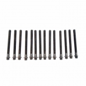 Parafuso Cabeçote Elring 802.820 BMW 323i, 328i - Cód.5222