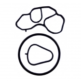 Junta Filtro de Óleo Elring 473.830 Motor 1.6 THP - Cód.2464