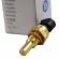 Sensor de Temperatura Delphi STD00004 GM Celta - Cód.8575