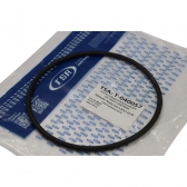 Guarnição Flange Bomba TSA T040057 Honda Civic - Cód.14000