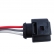 Chicote Sensor de Rotação ETE5102 VW - Cód.5854